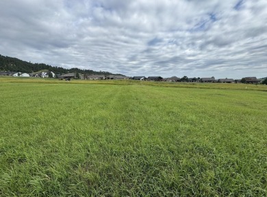 For more information, please contact listing agent Michael on Elkhorn Ridge Golf Course in South Dakota - for sale on GolfHomes.com, golf home, golf lot