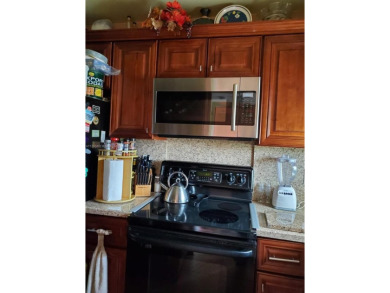 Beautiful 2 bedroom, 2 bath luxury condo with a scenic lake view on Sunrise Lakes Phase III in Florida - for sale on GolfHomes.com, golf home, golf lot