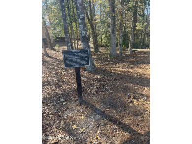 Great opportunity to build your dream home on this golf front on Carolina National Golf Club in North Carolina - for sale on GolfHomes.com, golf home, golf lot