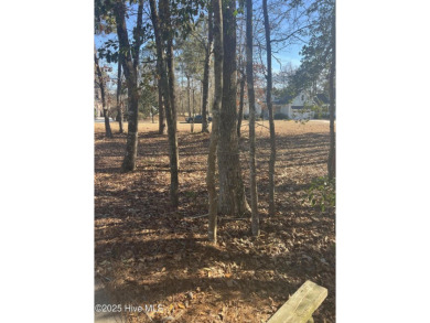 Great opportunity to build your dream home on this golf front on Carolina National Golf Club in North Carolina - for sale on GolfHomes.com, golf home, golf lot