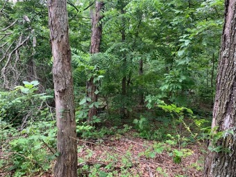 Perfect location!! .39 acre lot in the Highlands minutes from on Bella Vista Country Club - Highlands in Arkansas - for sale on GolfHomes.com, golf home, golf lot