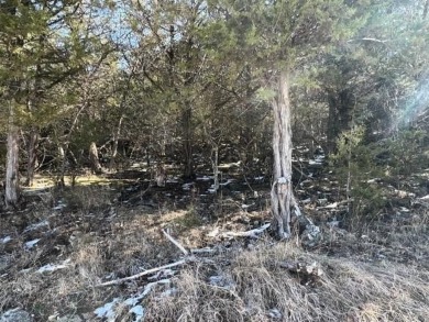 Who doesn't want to live on an island? Now you can when you buy on Holiday Island Executive Golf Course in Arkansas - for sale on GolfHomes.com, golf home, golf lot