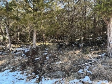 Who doesn't want to live on an island? Now you can when you buy on Holiday Island Executive Golf Course in Arkansas - for sale on GolfHomes.com, golf home, golf lot