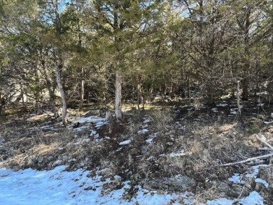 Who doesn't want to live on an island? Now you can when you buy on Holiday Island Executive Golf Course in Arkansas - for sale on GolfHomes.com, golf home, golf lot