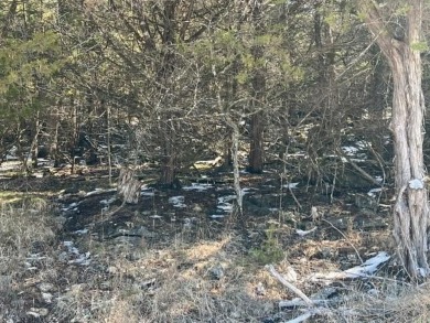 Who doesn't want to live on an island? Now you can when you buy on Holiday Island Executive Golf Course in Arkansas - for sale on GolfHomes.com, golf home, golf lot