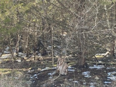 Who doesn't want to live on an island? Now you can when you buy on Holiday Island Executive Golf Course in Arkansas - for sale on GolfHomes.com, golf home, golf lot