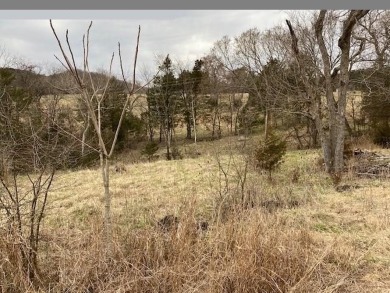 Who doesn't want to live on an island? Now you can when you buy on Holiday Island Executive Golf Course in Arkansas - for sale on GolfHomes.com, golf home, golf lot
