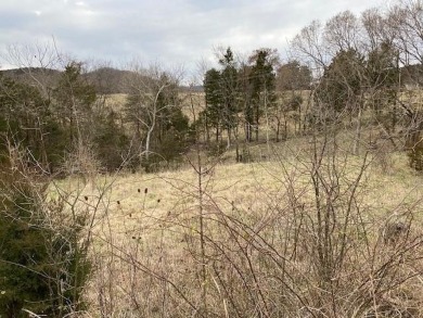 Who doesn't want to live on an island? Now you can when you buy on Holiday Island Executive Golf Course in Arkansas - for sale on GolfHomes.com, golf home, golf lot