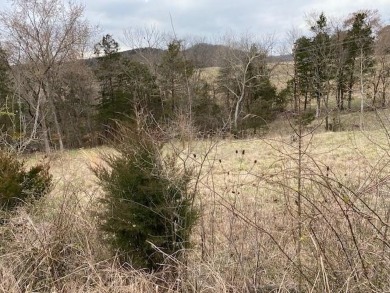 Who doesn't want to live on an island? Now you can when you buy on Holiday Island Executive Golf Course in Arkansas - for sale on GolfHomes.com, golf home, golf lot