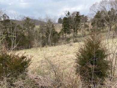 Who doesn't want to live on an island? Now you can when you buy on Holiday Island Executive Golf Course in Arkansas - for sale on GolfHomes.com, golf home, golf lot