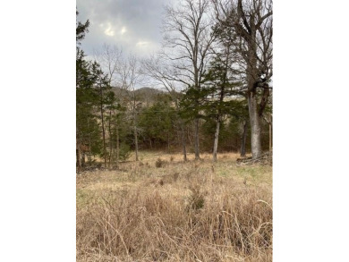 Who doesn't want to live on an island? Now you can when you buy on Holiday Island Executive Golf Course in Arkansas - for sale on GolfHomes.com, golf home, golf lot