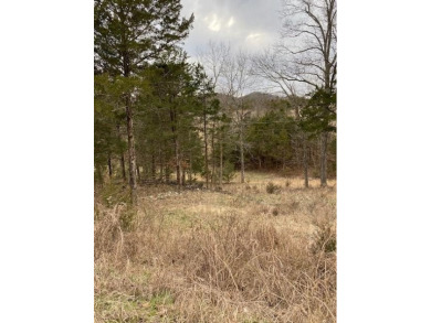 Who doesn't want to live on an island? Now you can when you buy on Holiday Island Executive Golf Course in Arkansas - for sale on GolfHomes.com, golf home, golf lot