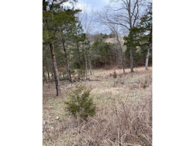 Who doesn't want to live on an island? Now you can when you buy on Holiday Island Executive Golf Course in Arkansas - for sale on GolfHomes.com, golf home, golf lot