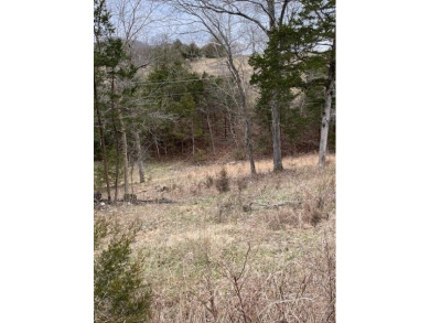 Who doesn't want to live on an island? Now you can when you buy on Holiday Island Executive Golf Course in Arkansas - for sale on GolfHomes.com, golf home, golf lot