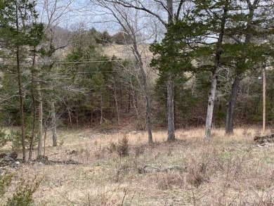 Who doesn't want to live on an island? Now you can when you buy on Holiday Island Executive Golf Course in Arkansas - for sale on GolfHomes.com, golf home, golf lot