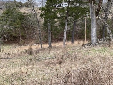 Who doesn't want to live on an island? Now you can when you buy on Holiday Island Executive Golf Course in Arkansas - for sale on GolfHomes.com, golf home, golf lot