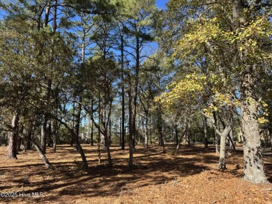 Welcome to the stunning, custom-home community of Ocean Ridge on Ocean Ridge Plantation in North Carolina - for sale on GolfHomes.com, golf home, golf lot