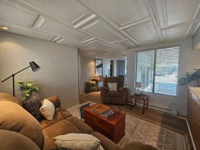 Stunning Update! 2 Bed 2 Bath Features New Foam Roof W/Warrantee on Viewpoint Golf Resort in Arizona - for sale on GolfHomes.com, golf home, golf lot