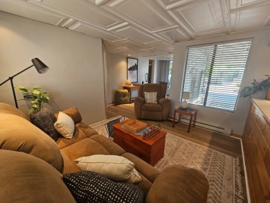Stunning Update! 2 Bed 2 Bath Features New Foam Roof W/Warrantee on Viewpoint Golf Resort in Arizona - for sale on GolfHomes.com, golf home, golf lot