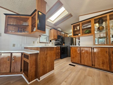 Stunning Update! 2 Bed 2 Bath Features New Foam Roof W/Warrantee on Viewpoint Golf Resort in Arizona - for sale on GolfHomes.com, golf home, golf lot