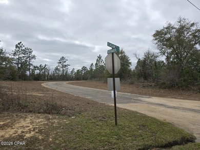 High and Dry Buildable Lot in the Sunny Hills Community, an on Sunny Hills Golf and Country Club in Florida - for sale on GolfHomes.com, golf home, golf lot