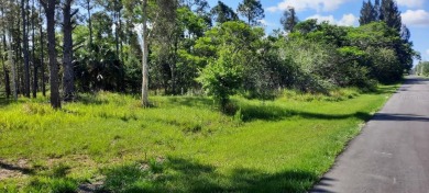 Come build your forever home on this one-half acre CANAL lot on Indian Lake Estates Golf and Country Club in Florida - for sale on GolfHomes.com, golf home, golf lot