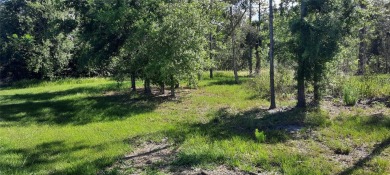 Come build your forever home on this one-half acre CANAL lot on Indian Lake Estates Golf and Country Club in Florida - for sale on GolfHomes.com, golf home, golf lot