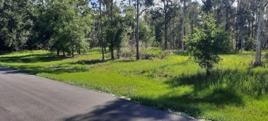 Come build your forever home on this one-half acre CANAL lot on Indian Lake Estates Golf and Country Club in Florida - for sale on GolfHomes.com, golf home, golf lot
