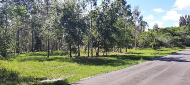 Come build your forever home on this one-half acre CANAL lot on Indian Lake Estates Golf and Country Club in Florida - for sale on GolfHomes.com, golf home, golf lot