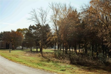Discover the perfect balance of privacy and luxury in the on Cedar Creek Country Club in Texas - for sale on GolfHomes.com, golf home, golf lot