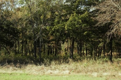 Discover the perfect balance of privacy and luxury in the on Cedar Creek Country Club in Texas - for sale on GolfHomes.com, golf home, golf lot