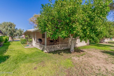 Charming 2-bedroom Gemini home in the vibrant 55+ community of on Sun City Lakes West and East in Arizona - for sale on GolfHomes.com, golf home, golf lot