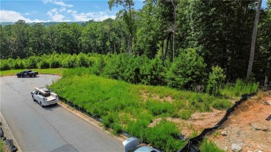 Best lot in the cul de sac! The property at 881 Woodvale Point on The River Club in Georgia - for sale on GolfHomes.com, golf home, golf lot