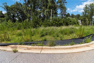 Best lot in the cul de sac! The property at 881 Woodvale Point on The River Club in Georgia - for sale on GolfHomes.com, golf home, golf lot