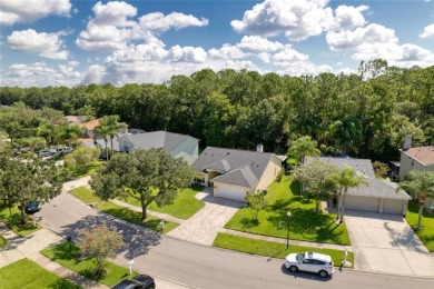 This is your opportunity to own this Beautiful and UPDATED *ONE on The Eagles Golf Course and Club in Florida - for sale on GolfHomes.com, golf home, golf lot