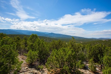 This Lot Is Amazing! One of the Highest In San Pedro Creek With on Paa-Ko Ridge Golf Club  in New Mexico - for sale on GolfHomes.com, golf home, golf lot