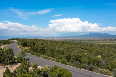 This Lot Is Amazing! One of the Highest In San Pedro Creek With on Paa-Ko Ridge Golf Club  in New Mexico - for sale on GolfHomes.com, golf home, golf lot