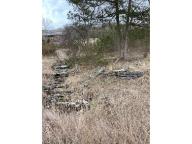 Who doesn't want to live on an island? Now you can when you buy on Holiday Island Executive Golf Course in Arkansas - for sale on GolfHomes.com, golf home, golf lot