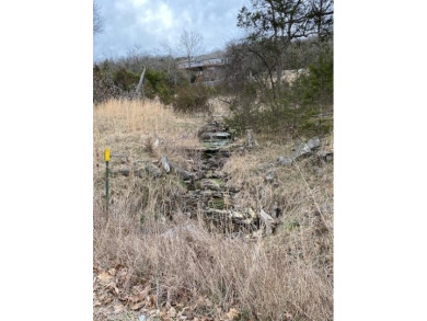 Who doesn't want to live on an island? Now you can when you buy on Holiday Island Executive Golf Course in Arkansas - for sale on GolfHomes.com, golf home, golf lot