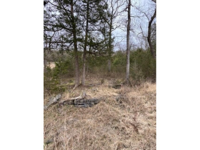 Who doesn't want to live on an island? Now you can when you buy on Holiday Island Executive Golf Course in Arkansas - for sale on GolfHomes.com, golf home, golf lot