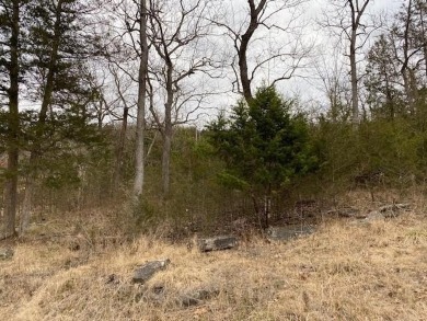 Who doesn't want to live on an island? Now you can when you buy on Holiday Island Executive Golf Course in Arkansas - for sale on GolfHomes.com, golf home, golf lot