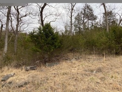 Who doesn't want to live on an island? Now you can when you buy on Holiday Island Executive Golf Course in Arkansas - for sale on GolfHomes.com, golf home, golf lot