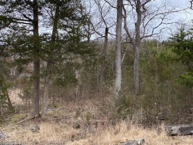 Who doesn't want to live on an island? Now you can when you buy on Holiday Island Executive Golf Course in Arkansas - for sale on GolfHomes.com, golf home, golf lot