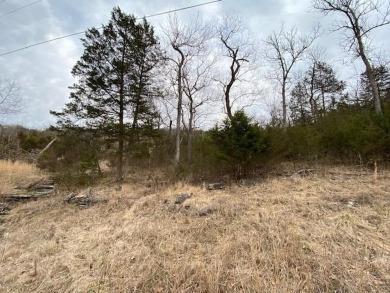 Who doesn't want to live on an island? Now you can when you buy on Holiday Island Executive Golf Course in Arkansas - for sale on GolfHomes.com, golf home, golf lot
