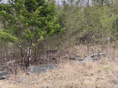Who doesn't want to live on an island? Now you can when you buy on Holiday Island Executive Golf Course in Arkansas - for sale on GolfHomes.com, golf home, golf lot