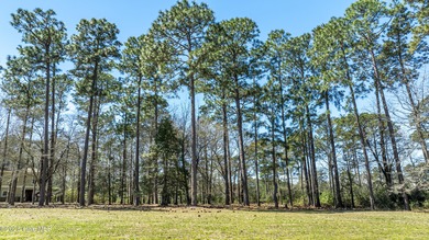 Experience the perfect blend of golf course living and coastal on Rivers Edge Golf Club in North Carolina - for sale on GolfHomes.com, golf home, golf lot