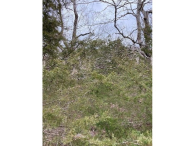 Who doesn't want to live on an island? Now you can when you buy on Holiday Island Golf Course in Arkansas - for sale on GolfHomes.com, golf home, golf lot