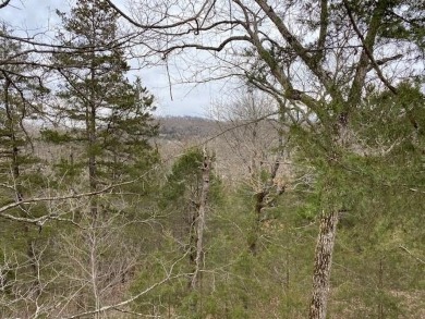 Who doesn't want to live on an island? Now you can when you buy on Holiday Island Golf Course in Arkansas - for sale on GolfHomes.com, golf home, golf lot