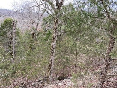 Who doesn't want to live on an island? Now you can when you buy on Holiday Island Golf Course in Arkansas - for sale on GolfHomes.com, golf home, golf lot
