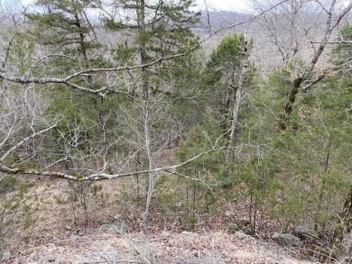 Who doesn't want to live on an island? Now you can when you buy on Holiday Island Golf Course in Arkansas - for sale on GolfHomes.com, golf home, golf lot
